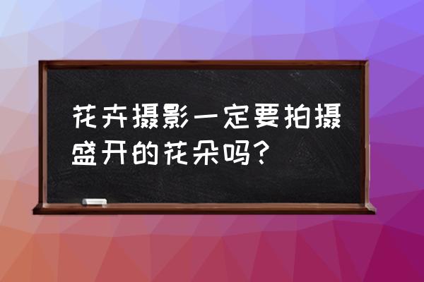 干莲蓬与什么搭配做干花 花卉摄影一定要拍摄盛开的花朵吗？