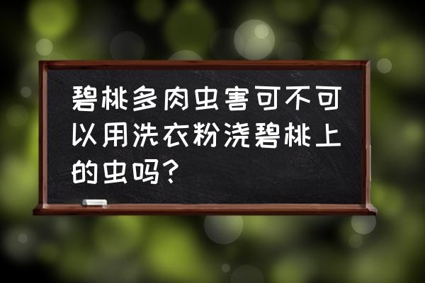 多肉虫害防治用什么药最好 碧桃多肉虫害可不可以用洗衣粉浇碧桃上的虫吗？