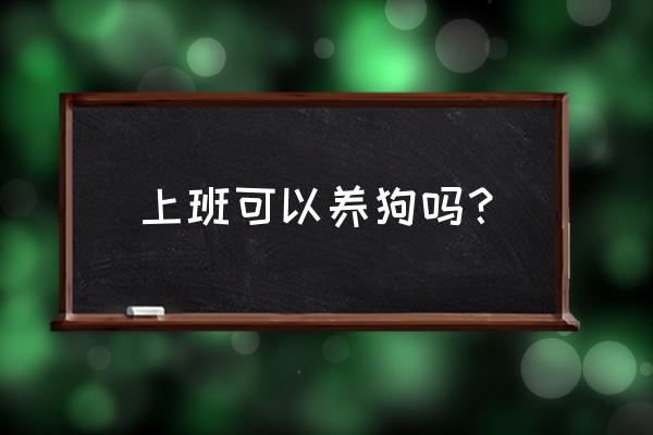 工作的地方有狗怎么办 上班可以养狗吗？