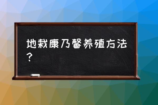 康乃馨养殖方法和注意事项有哪些 地栽康乃馨养殖方法？