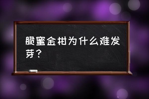 春季盆栽金桔枝干不发芽怎么回事 脆蜜金柑为什么难发芽？