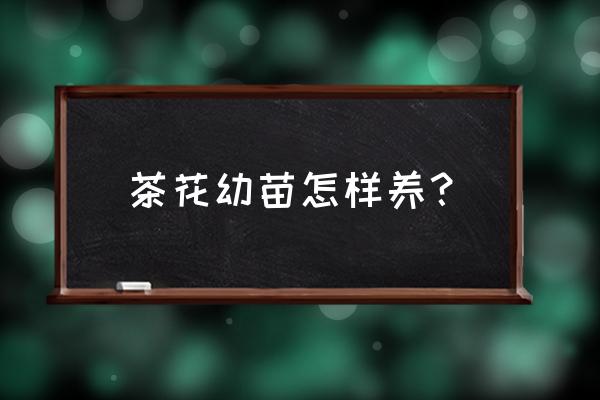 刚买回家的茶花如何养殖 茶花幼苗怎样养？