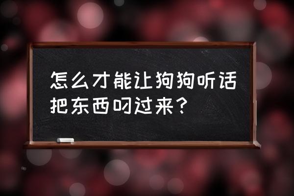 怎么才能让狗记住自己的名字 怎么才能让狗狗听话把东西叼过来？