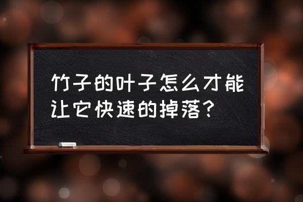 竹子的叶子怎么画简易图 竹子的叶子怎么才能让它快速的掉落？