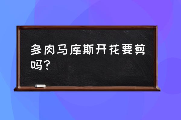 多肉开花怎么处理最好 多肉马库斯开花要剪吗？