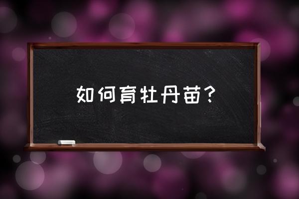 牡丹种子怎样育苗 如何育牡丹苗？