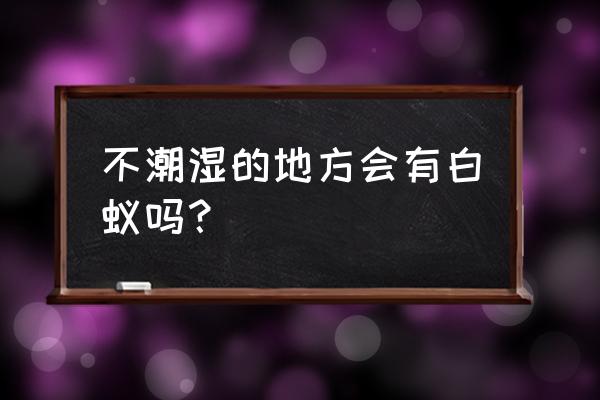 三分钟教你知道家里是否有白蚁 不潮湿的地方会有白蚁吗？