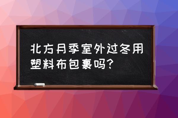 月季北方冬天的养护方法 北方月季室外过冬用塑料布包裹吗？