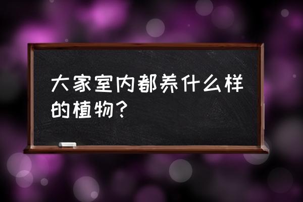 寓意吉祥美好的6款绿植盆栽有哪些 大家室内都养什么样的植物？