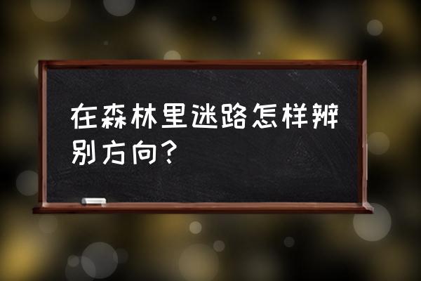 在大城市里迷了路怎么办 在森林里迷路怎样辨别方向？