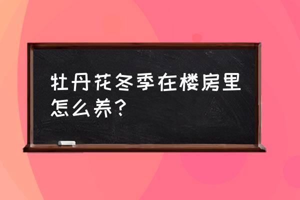 牡丹花养殖方法和注意事项 牡丹花冬季在楼房里怎么养？