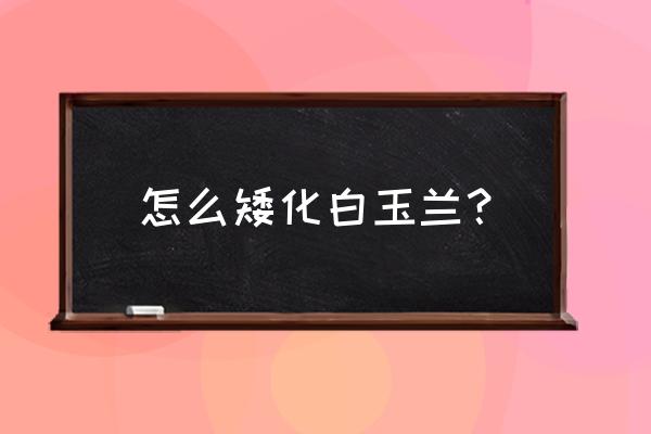 盆栽木兰花怎么养才好 怎么矮化白玉兰？