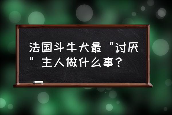 两个月的法牛怎么饲养 法国斗牛犬最“讨厌”主人做什么事？