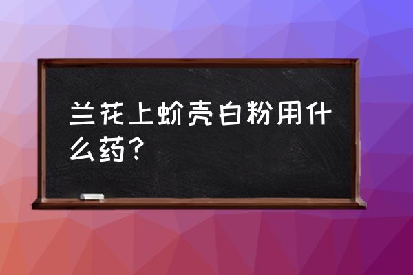 兰花上面长白色的虫子怎么办 兰花上蚧壳白粉用什么药？