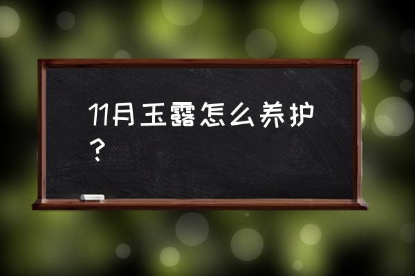 玉露如何养的晶莹剔透 11月玉露怎么养护？