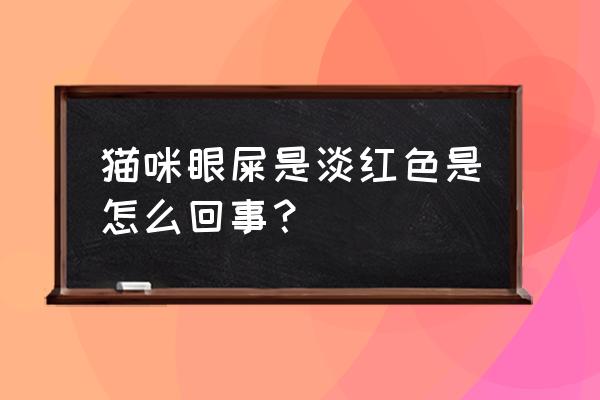 猫咪总有眼屎是什么原因 猫咪眼屎是淡红色是怎么回事？