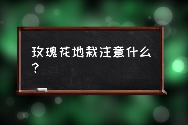 家庭种植玫瑰的土壤要求是多少 玫瑰花地栽注意什么？