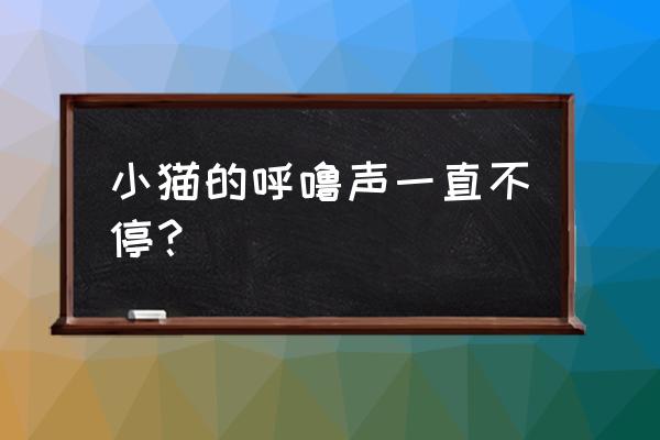 猫猫总是发出咕噜咕噜声音 小猫的呼噜声一直不停？