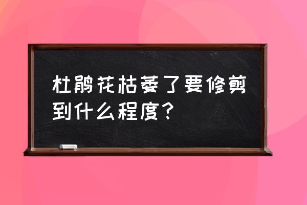 杜鹃花开败后如何修剪 杜鹃花枯萎了要修剪到什么程度？