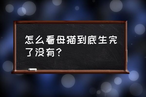 如何判断猫咪还有多久生小猫 怎么看母猫到底生完了没有？