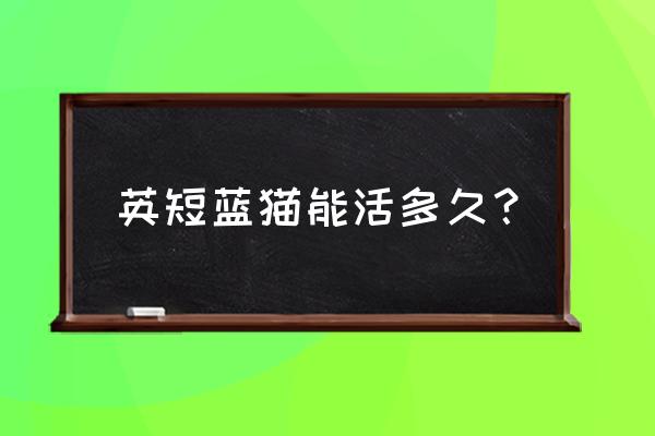 英国短毛猫有什么可怕之处 英短蓝猫能活多久？