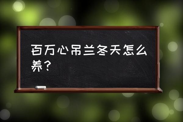 牡丹吊兰冬季怎么养护 百万心吊兰冬天怎么养？