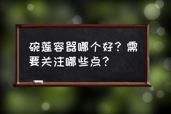 碗莲什么品种最好 碗莲容器哪个好？需要关注哪些点？