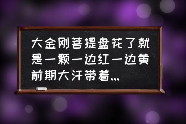 金刚菩提刷花了补救的办法 大金刚菩提盘花了就是一颗一边红一边黄前期大汗带着没怎么盘刷还有救吗怎么盘顺色？