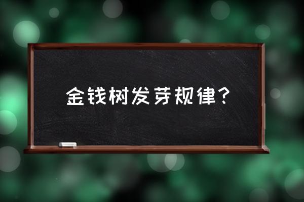 金钱树冒出很多新芽需要修理吗 金钱树发芽规律？