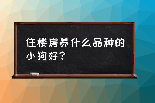 公认十大最好养的狗狗品种 住楼房养什么品种的小狗好？