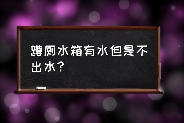 厕所水箱没安一直流水怎么解决 蹲厕水箱有水但是不出水？