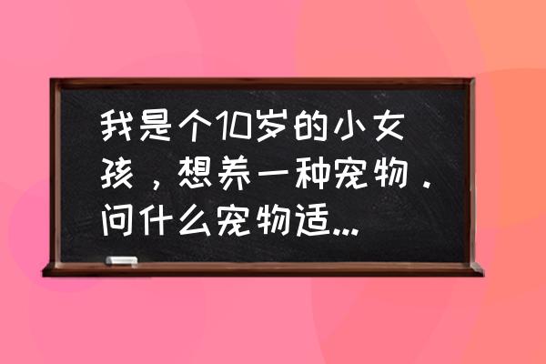 女生养什么样的狗狗最好 我是个10岁的小女孩，想养一种宠物。问什么宠物适合小女孩？