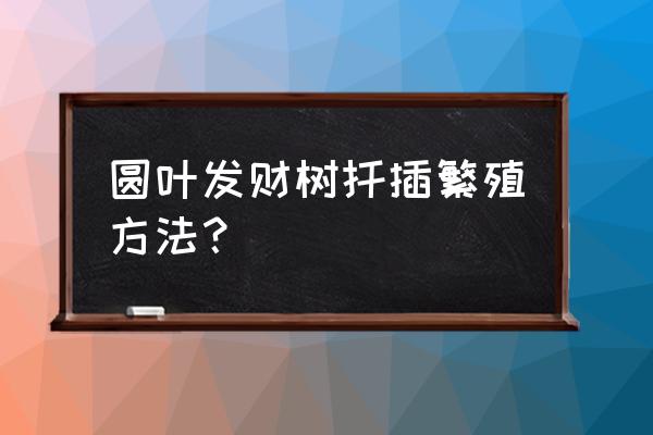 发财树最新扦插方法 圆叶发财树扦插繁殖方法？