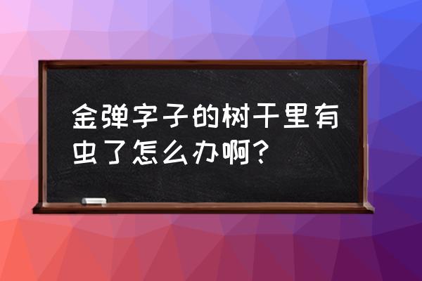 金弹子土里有虫怎么办 金弹字子的树干里有虫了怎么办啊？