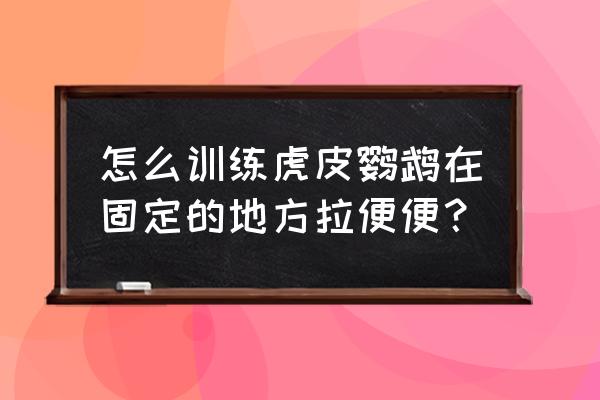 怎样训练鹦鹉在固定地方大小便 怎么训练虎皮鹦鹉在固定的地方拉便便？