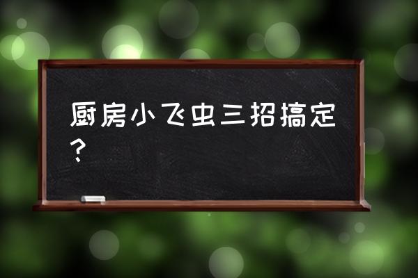 厨房小黑虫杀虫剂怎么选 厨房小飞虫三招搞定？