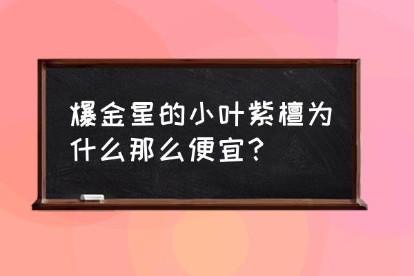 小叶紫檀人工金星和真金星的区别 爆金星的小叶紫檀为什么那么便宜？