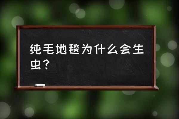 羊毛地毯被虫蛀怎么处理 纯毛地毯为什么会生虫？