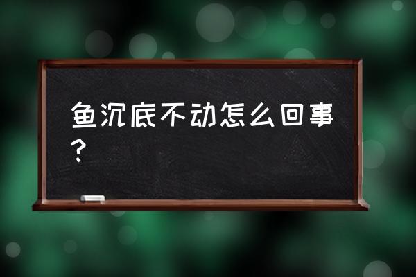 鱼沉底解决方法 鱼沉底不动怎么回事？