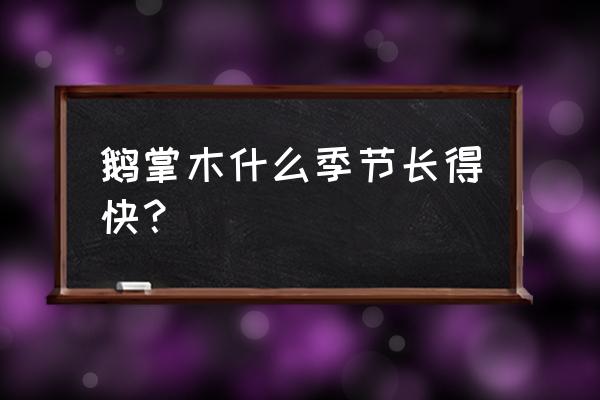 鹅掌木怎么养长得茂盛 鹅掌木什么季节长得快？