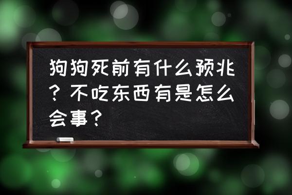 狗丢了十大征兆 狗狗死前有什么预兆？不吃东西有是怎么会事？