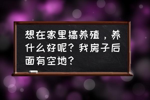 自己在家养什么盆栽好 想在家里搞养殖，养什么好呢？我房子后面有空地？