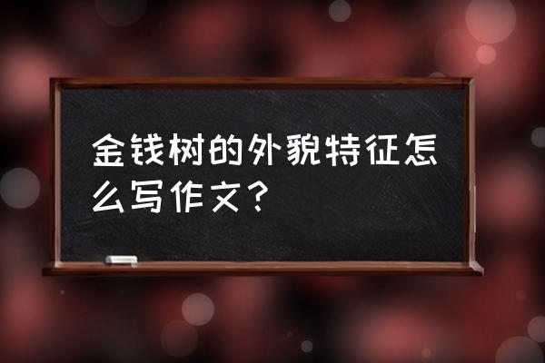 金钱树的特点100种 金钱树的外貌特征怎么写作文？