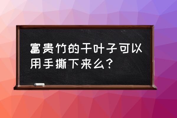 竹塔的正确水养方法 富贵竹的干叶子可以用手撕下来么？