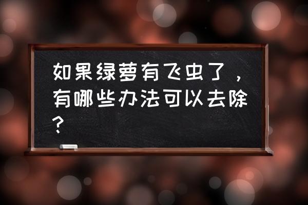 绿萝土里有小白虫子怎么办 如果绿萝有飞虫了，有哪些办法可以去除？