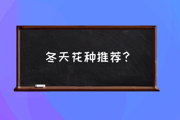 最好养的绿叶球兰 冬天花种推荐？