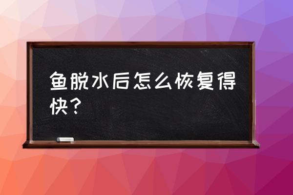 金鱼换水后快速恢复 鱼脱水后怎么恢复得快？