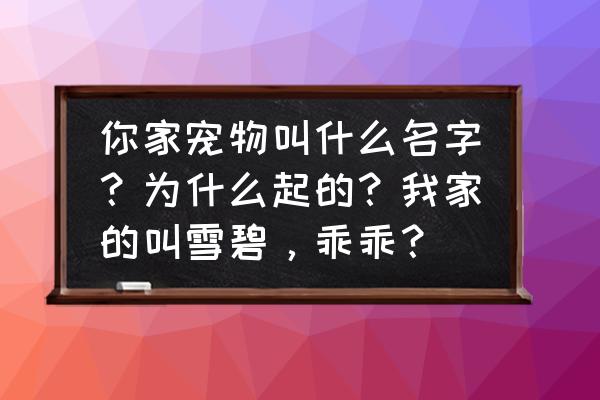 皮皮壁纸如何开启桌面宠物 你家宠物叫什么名字？为什么起的？我家的叫雪碧，乖乖？