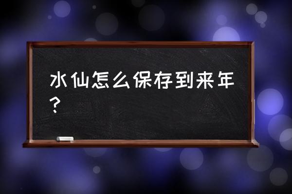 水仙球怎么养长得大 水仙怎么保存到来年？