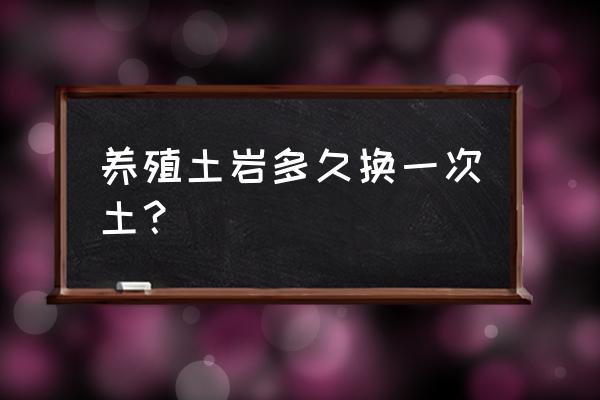 新买的大岩桐需要换盆吗 养殖土岩多久换一次土？